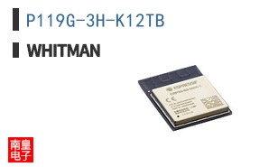 P119G-3H-K12TB ͼƬ